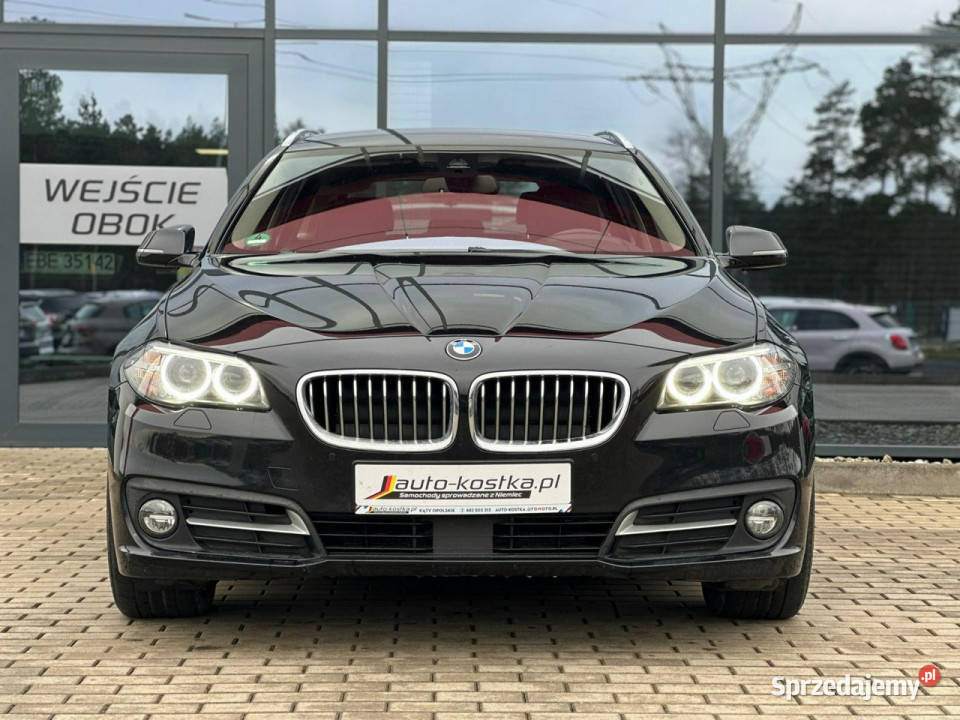 BMW 525 Bixenon LED Elklapa Skóra Asystent opolskie Kąty Opolskie