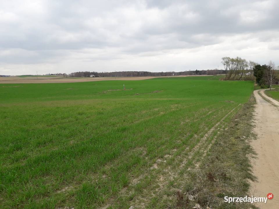 Dwie działki z warunkami zabudowy w Górze Góra