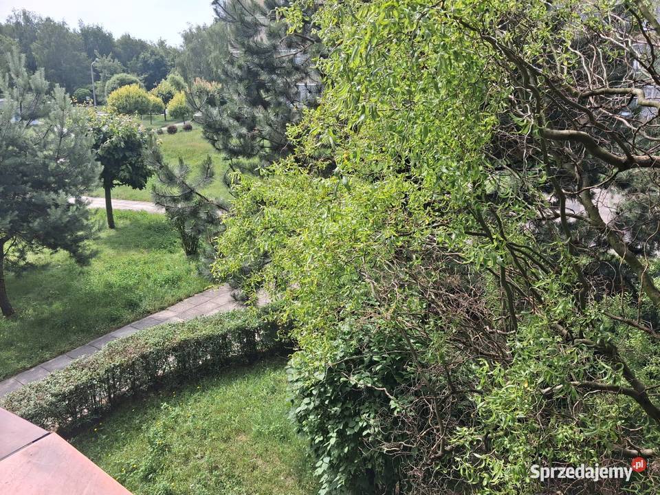 Do wynajęcia mieszkanie Rybnik Boguszowice