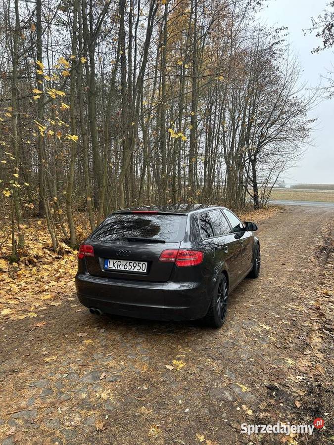 Audi A3 8p 18 TFSI Dzierzkowice-Wola