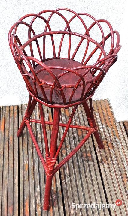 kwietnik wiklinowy Kraków