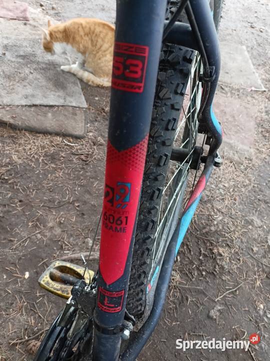 Rower MTB 29 Wołów