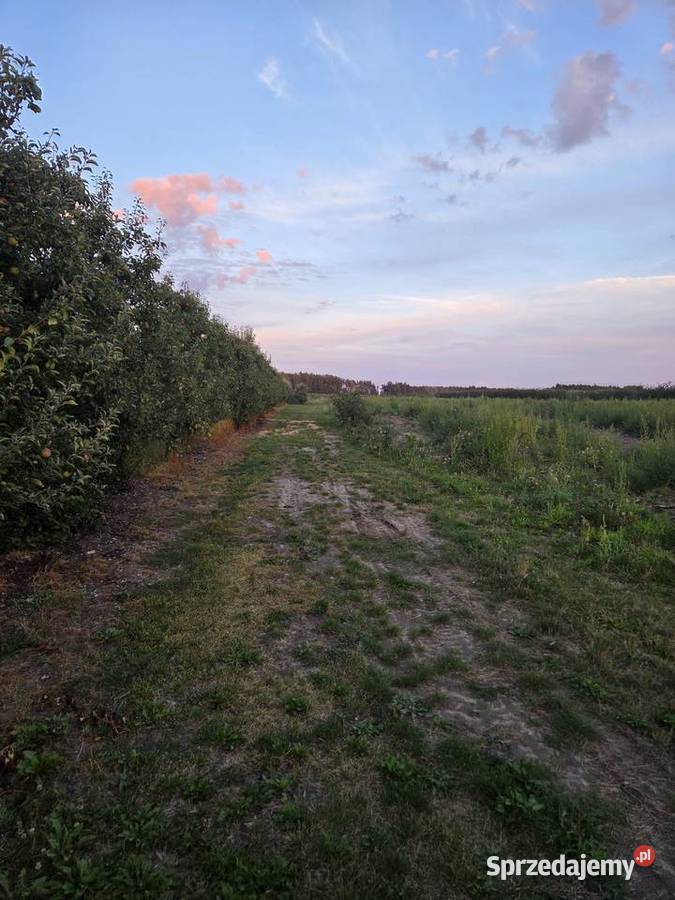 Działka 12800 m2 rolno budowlana Karolew mazowieckie Pniewy