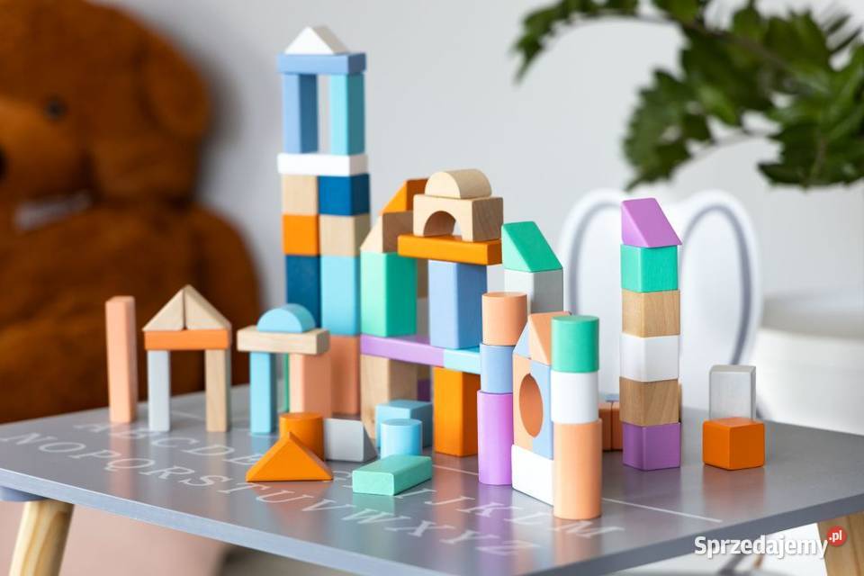 Drewniane klocki 50 wiaderko sorter Ecotoys Bielsk Podlaski