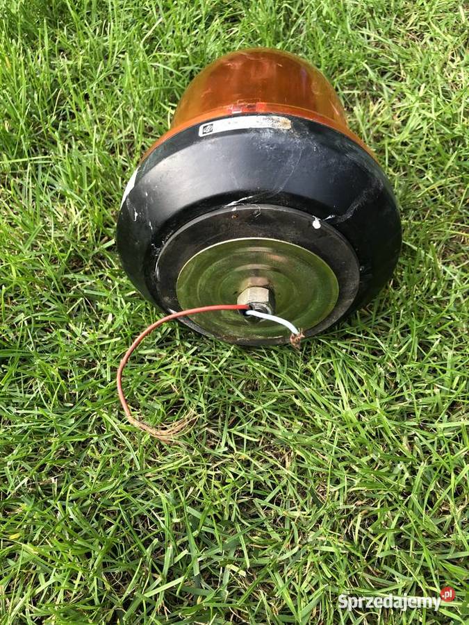 Kogut Lb10 Czarnków