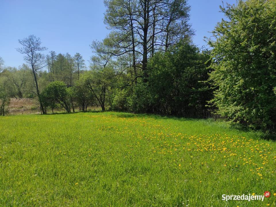 Mazury Działka rzeką Krutyń Ukta