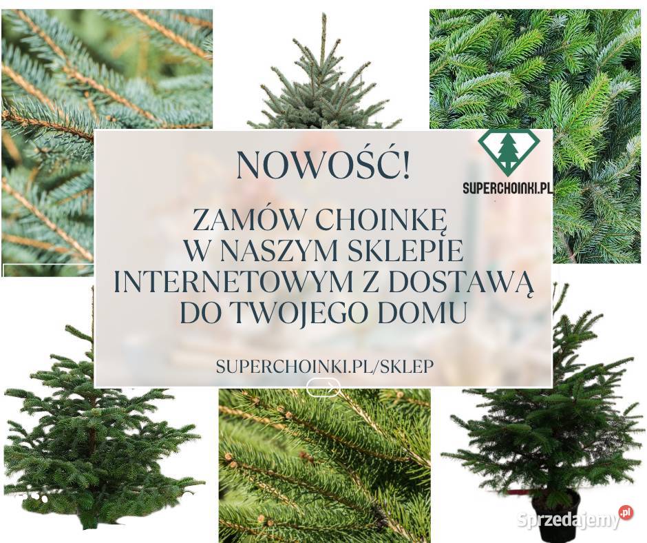 Choinki z plantacji z dostawą do domu Boże Narodzenie Tarczyn