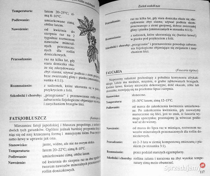 Mała encyklopedia doniczkowych roślin ozdobnych Chełm