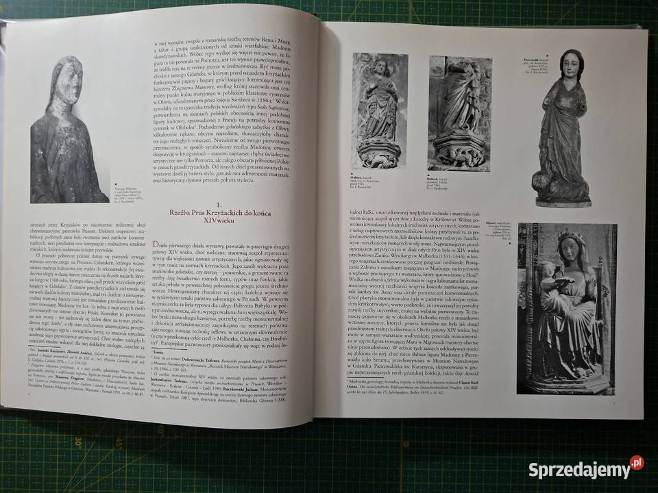 Muzeum Narodowe w Gdańsku Plastyka ISBN 9788388669927 Kraków