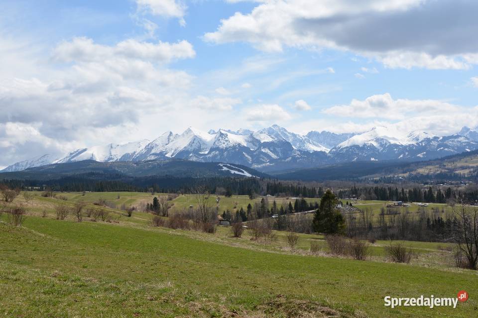 Wynajmę działkę rolną 2400m2 Czarna Góra
