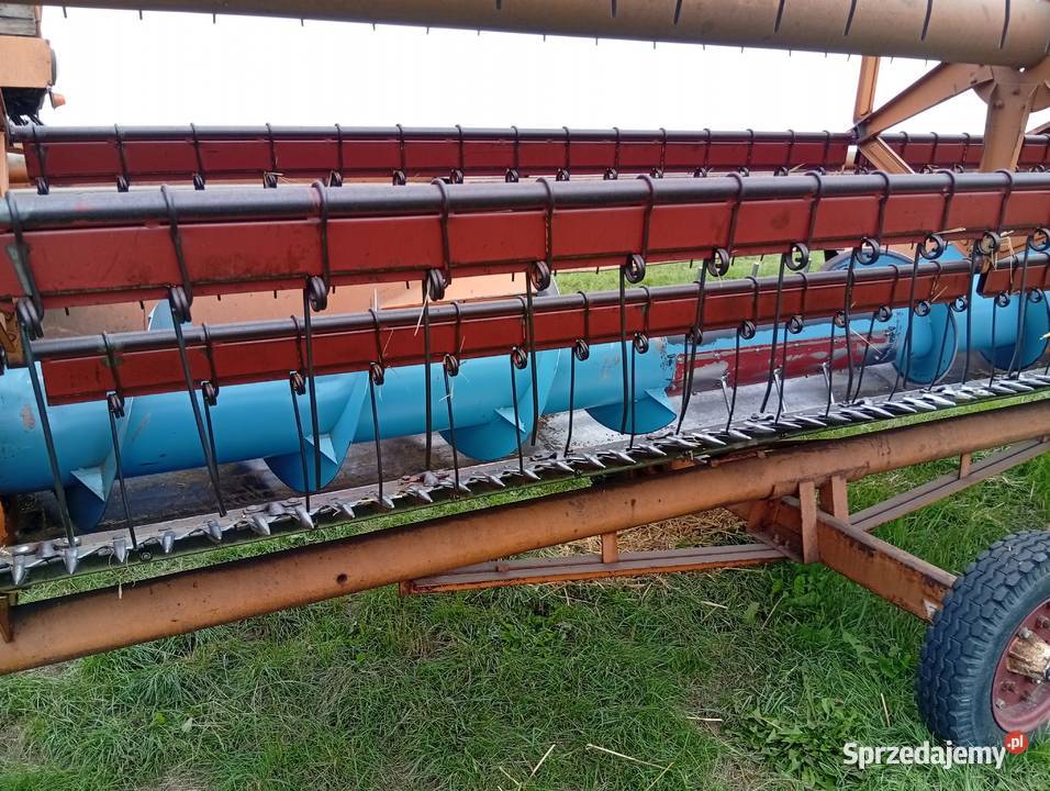 Sprzedam bizona ZO56 Boczki Chełmońskie