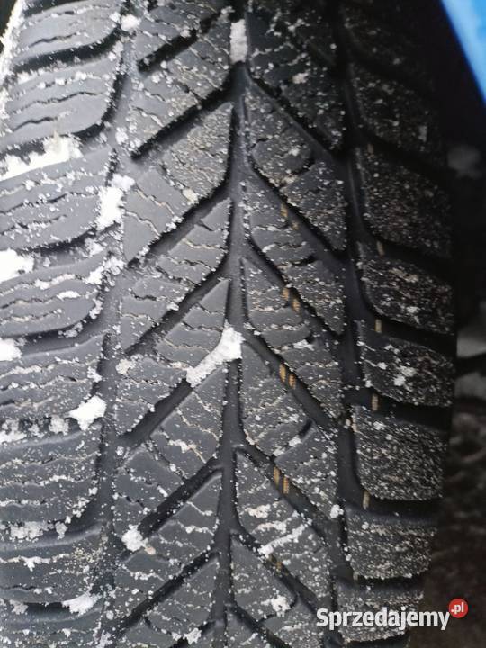 Renault Clio 2002 12 Benzyna Rok produkcji 2002 Mycielin