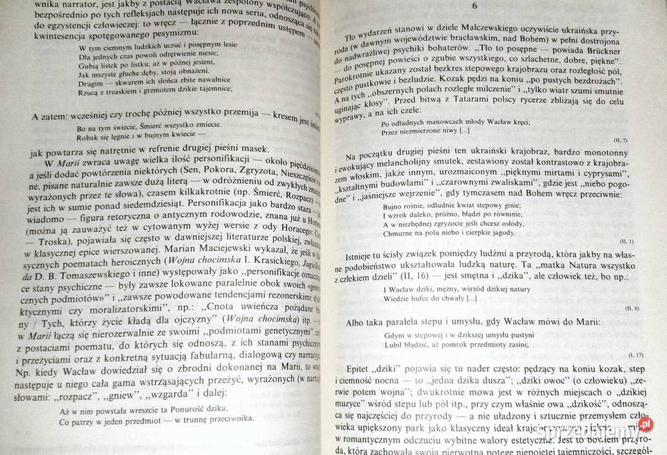 Arcydzieła Literatury Polskiej Interpretacje Tom miękka z obwolutą Pozostałe