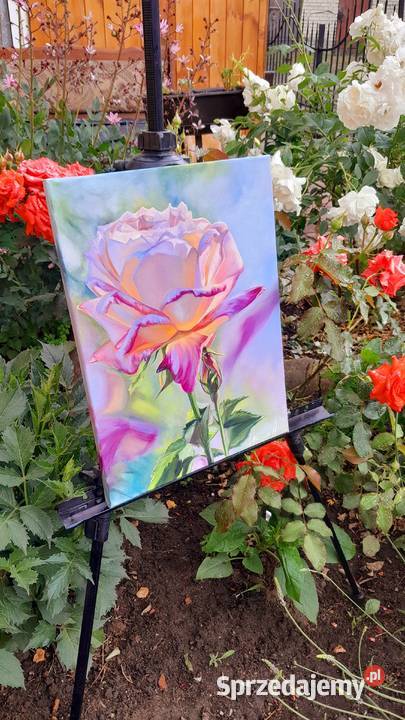 Piękne autorskie obrazy olejne na płótnie Brwinów