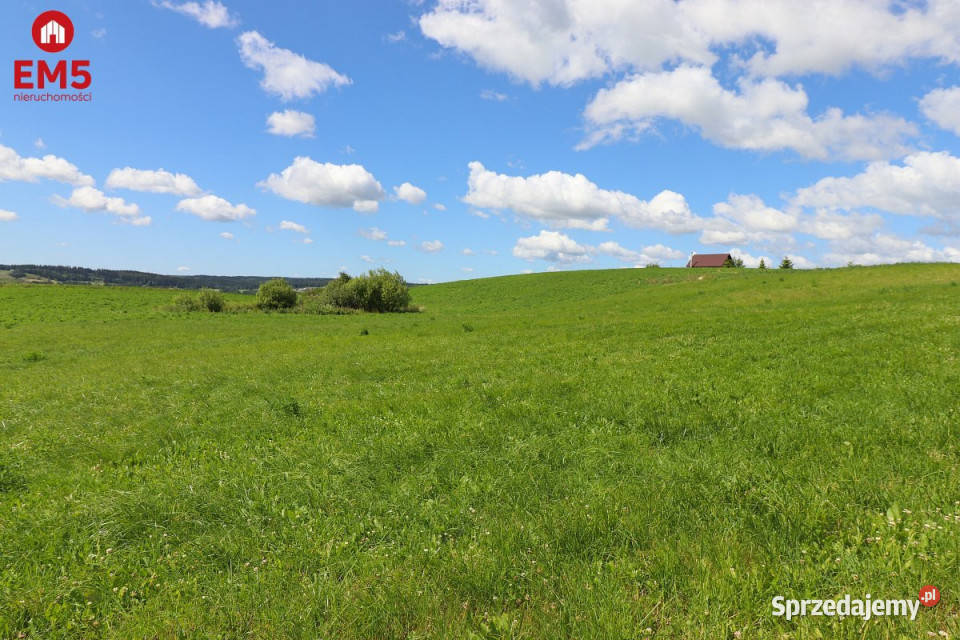 Działka Olszanka 3003m2 podlaskie sprzedam