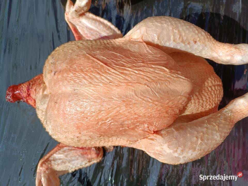 Kurczak brojler wiejski
