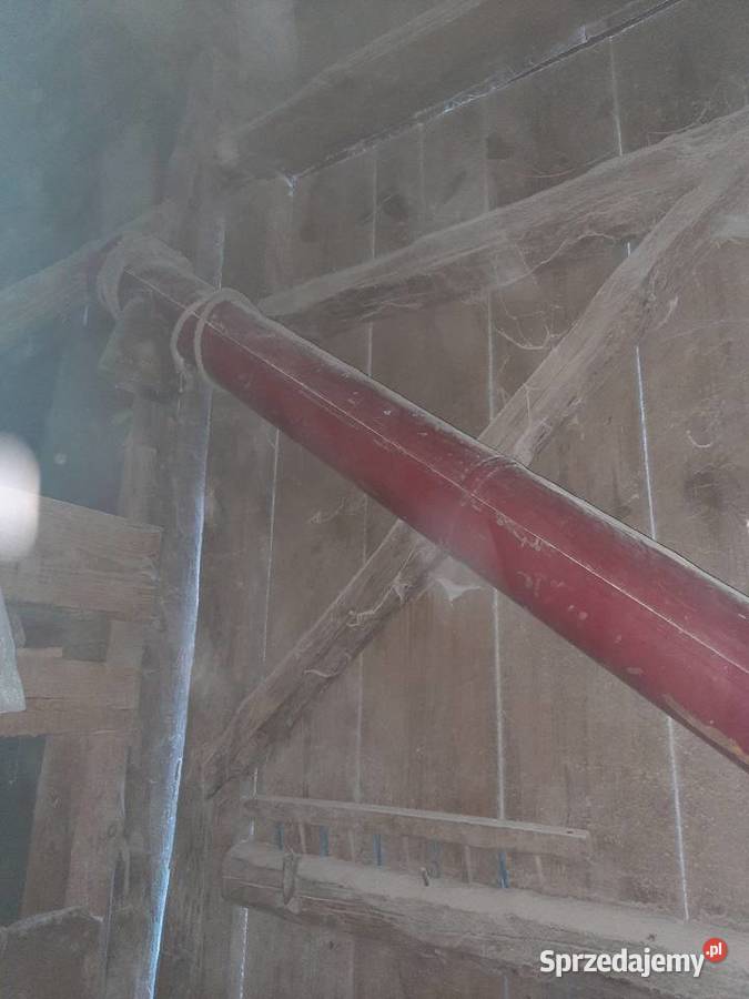 Żmijka do zboża świętokrzyskie