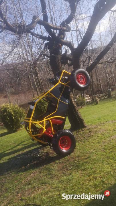 Sprzedam buggy Rok produkcji 2000 podkarpackie Łańcut