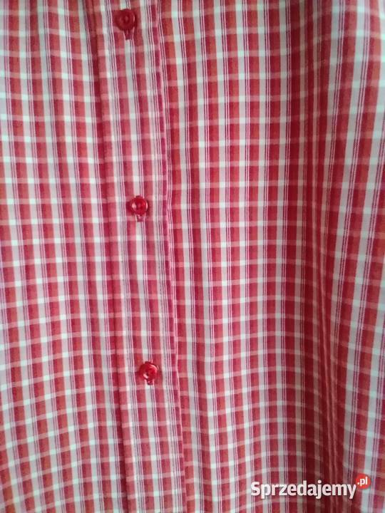 bluzka damska z kołnierzykiem sprzedam