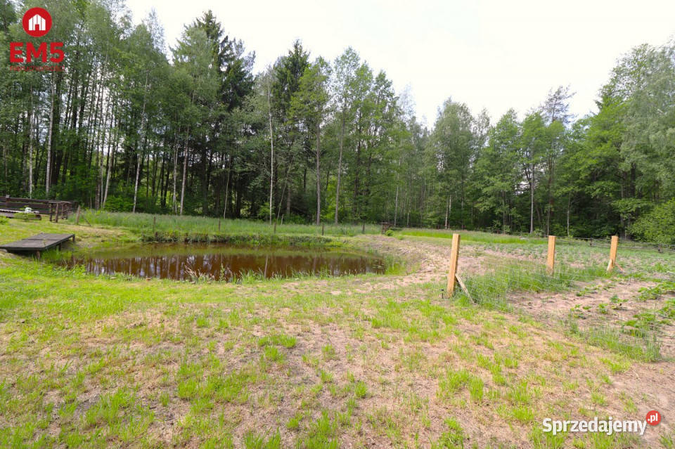Działka 2761m2 Płaska 108zł/m2