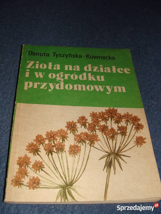 zioła na działce i w ogródku przydomowym