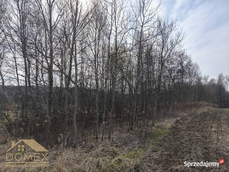 Działka Radlin 3467m2 Wodzisław Śląski