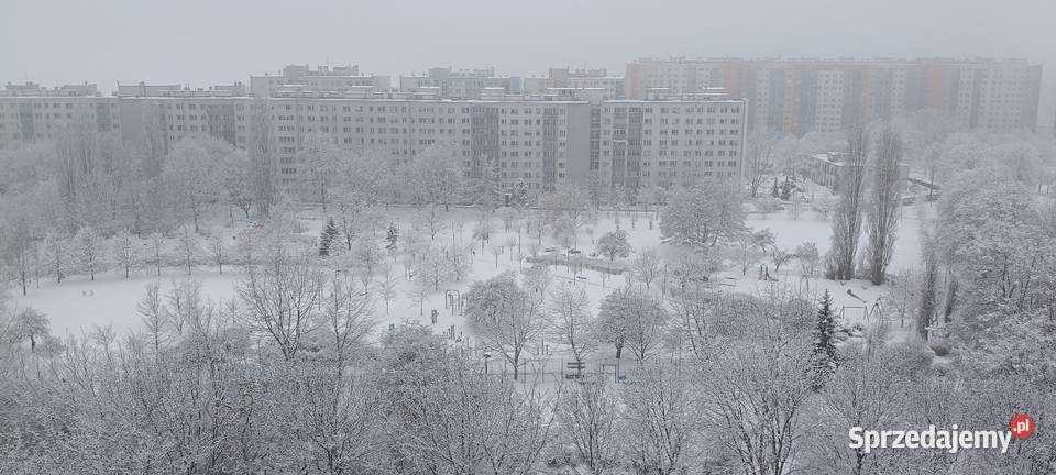 Mieszkanie mieszkanie 3 pokojowe 63 metry