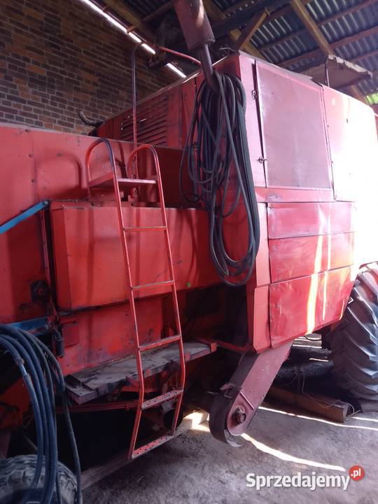 Bizon zo 56 Kraśnik