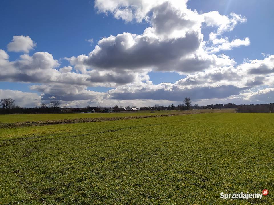 tapeta z Windows XP Sprzedaż pomorskie Kaczkowo
