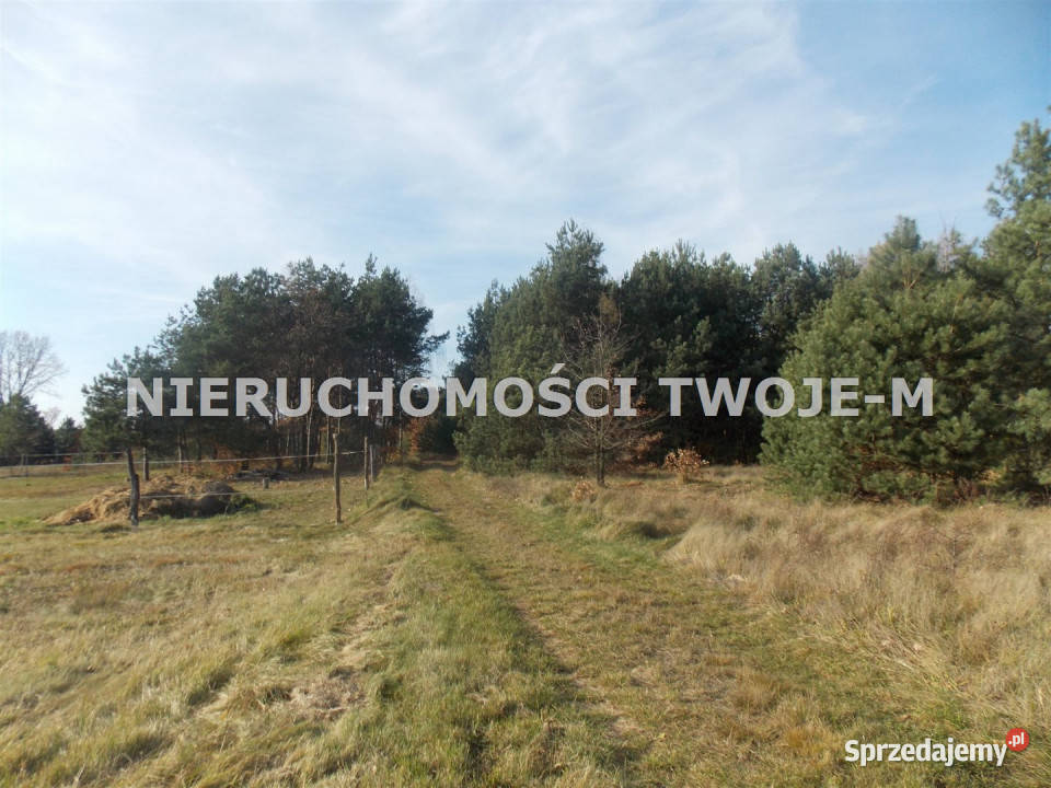 sprzedaży gruntu Kuczów 3300m2 świętokrzyskie