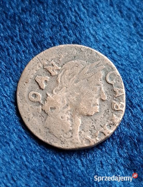 Szeląg litewski Jan II Kazimierz Waza Brześć pomorskie Wejherowo sprzedam