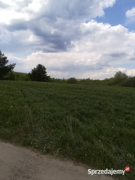 Działka w pięknej lokalizacji Olsztyna warmińsko-mazurskie Mątki