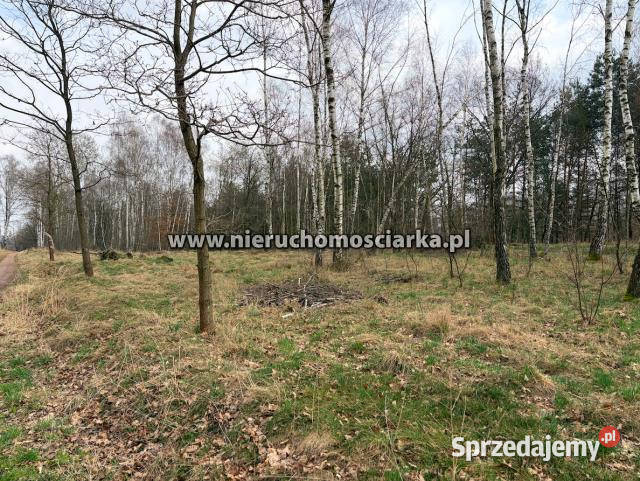 Sprzedam działka 10182m2 Wodzisław Śląski Sprzedaż śląskie