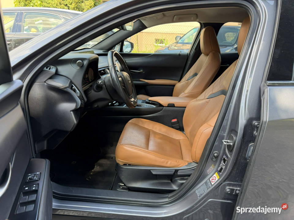 Lexus UX 250 Hybrid Skóra Ful LED Premium kamera cofania Łodygowice