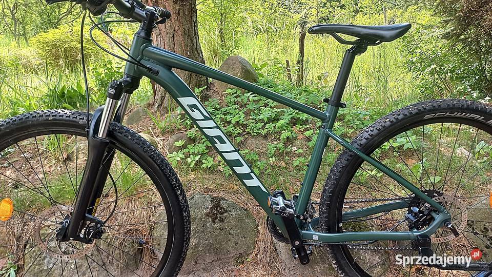 Alu Rower Górski Mtb Giant Talon 3 Tourney Sr