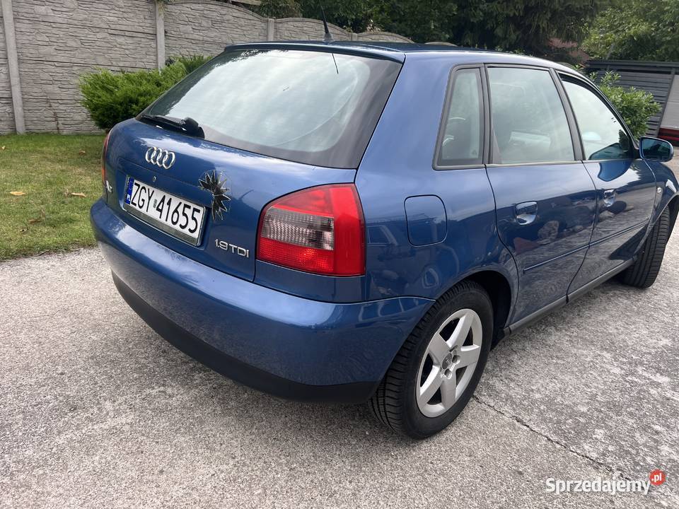 Audi A3 8L 19TDI 90 90KM Gryfice