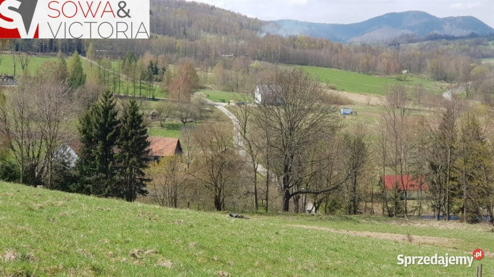 Widokowa działka w Górach Sowich Jugowice