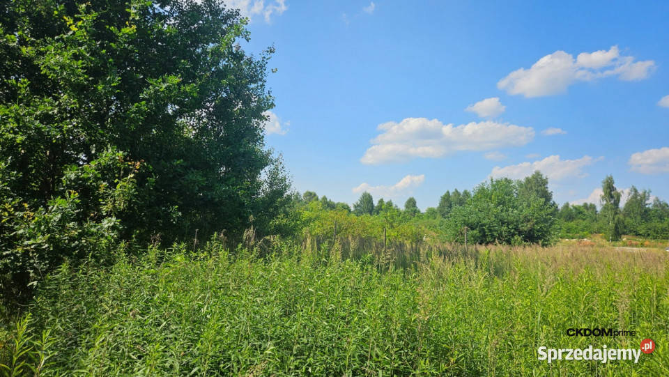 działka Wola Kopcowa sprzedam
