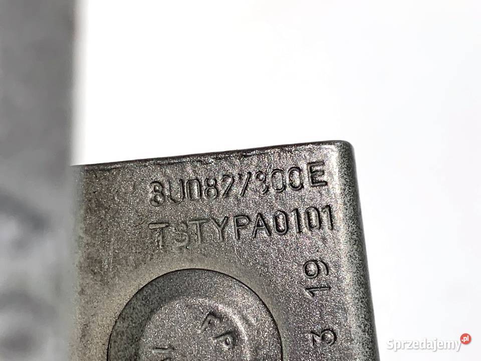 ZAWIASY KLAPY TYŁ KOMPLET AUDI Q8 SUV Argusbraun osobowe