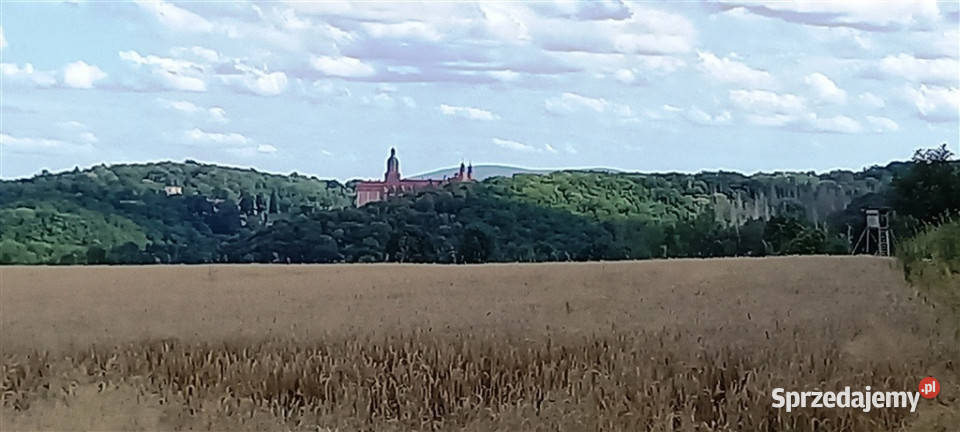 Działki w Cieszowie Cieszów