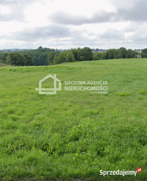 Działka Wierzchucino 14550m2 sprzedam