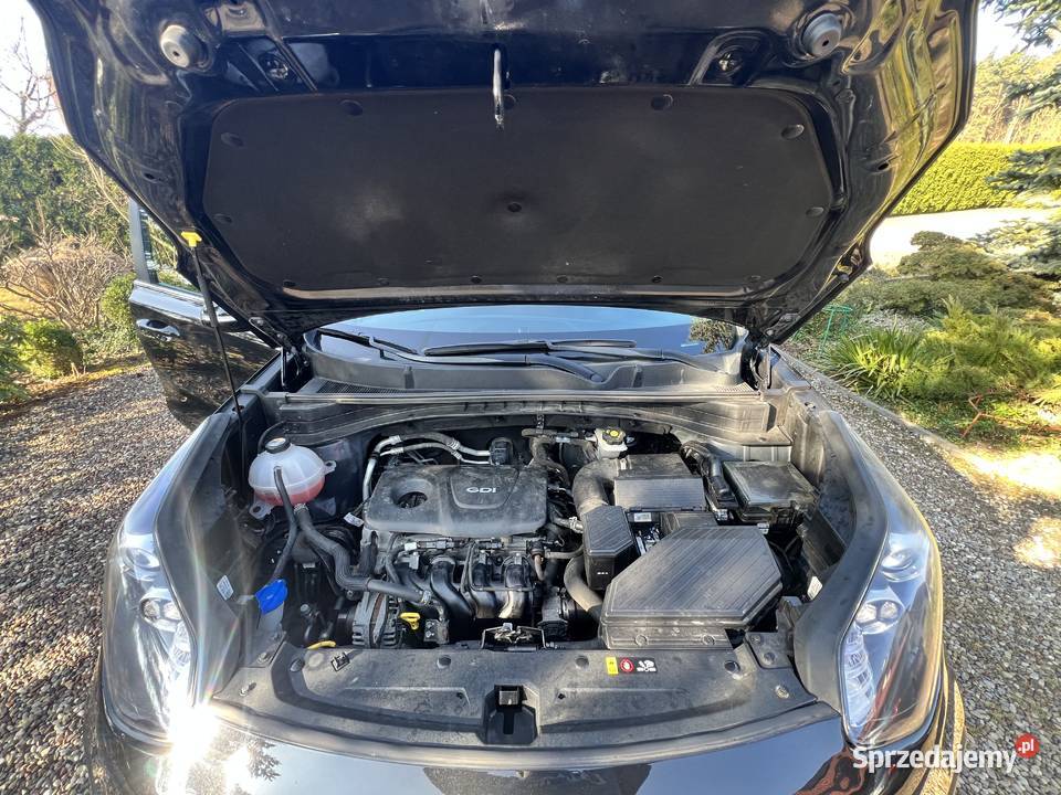 Kia sportage kujawsko-pomorskie Łubianka