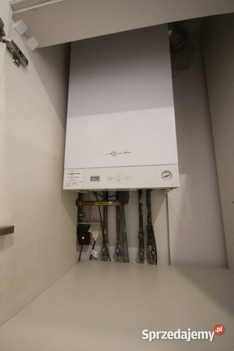 2pok 56met Wietrznej PIWNICAOGRÓD Wrocław sprzedam