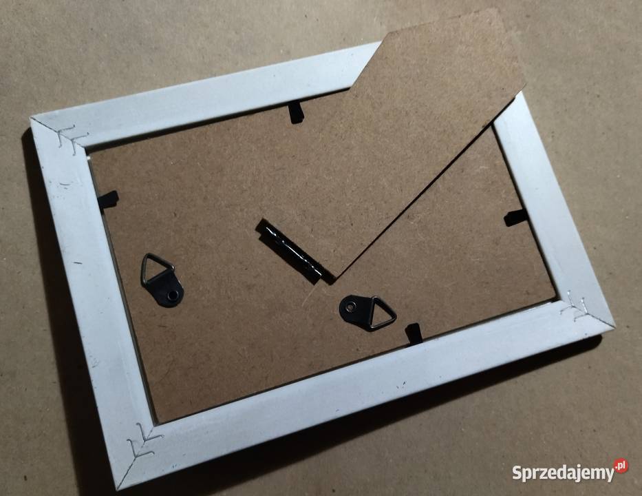 Obraz kotek lubuskie Kostrzyn nad Odrą