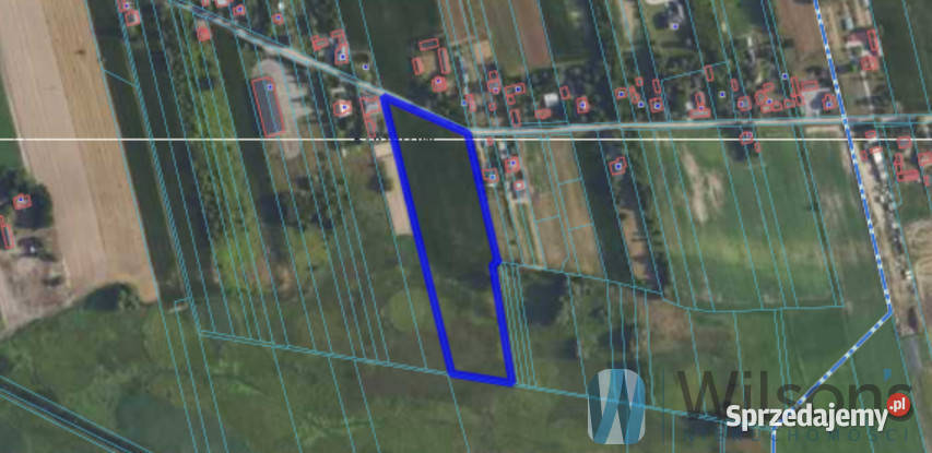 Grunt 16700m2 Kopytów