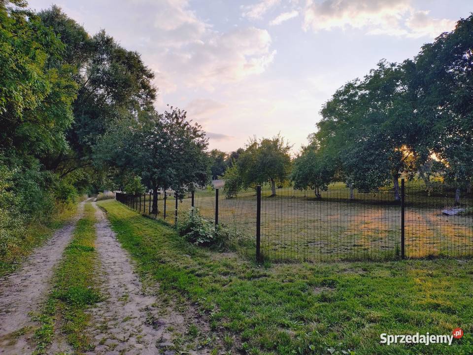 Gospodarstwo Rolne w urokliwym miejscu 13ha prąd lubuskie Jarnatów
