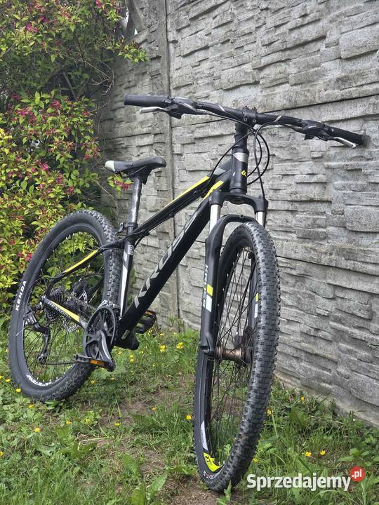Kross Hexagon 50 Ładzin