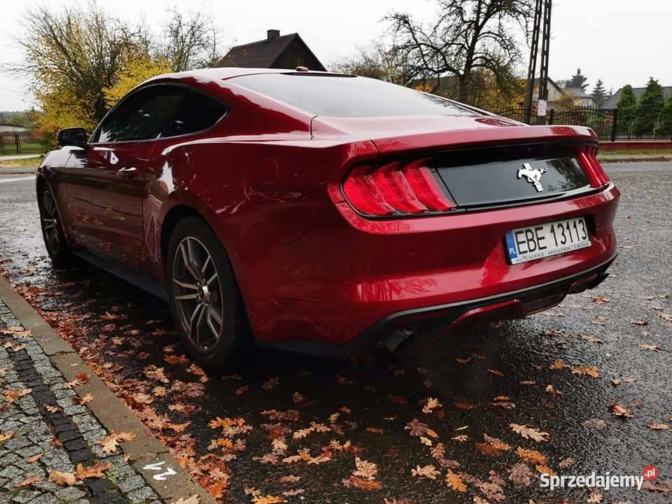 Mustang 37 V6 310 łódzkie Bełchatów