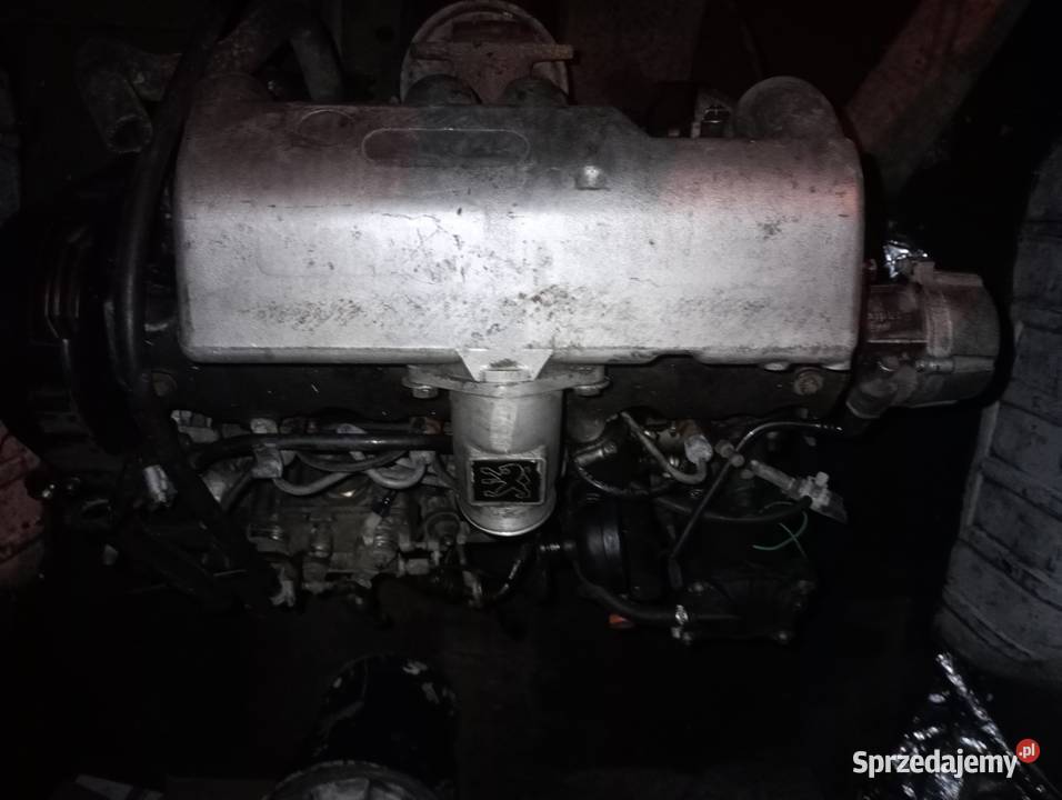 Peugeot ExpertFiat Scudoocynk blaszak z kujawsko-pomorskie Włocławek