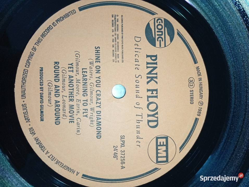 Pink Floyd Delicate Sound Of Thunder Hungary Rumia